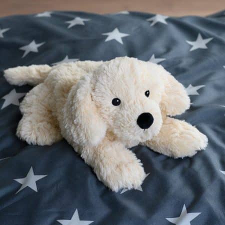 golden retriever gosedjur på grå täcke med ljusa stjärnor