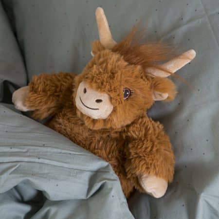 gosedjur highland ko som ligger i sängen