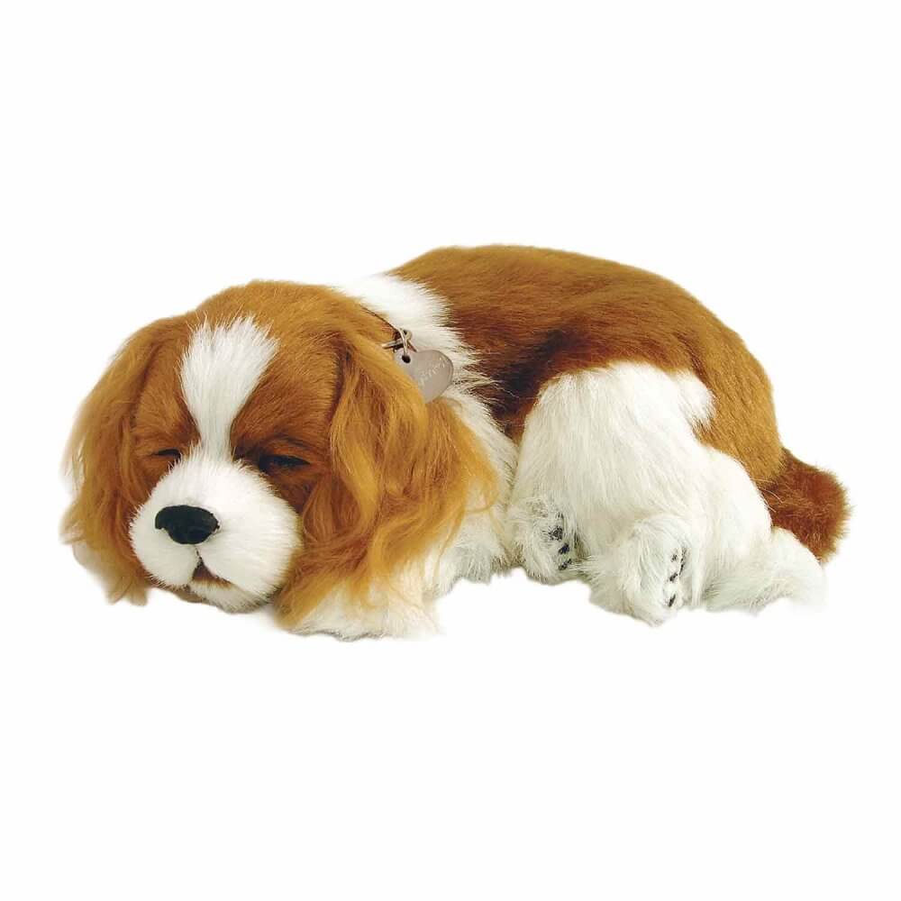 sovande hund av rasen Cavalier King Charles Spaniel gosedjur