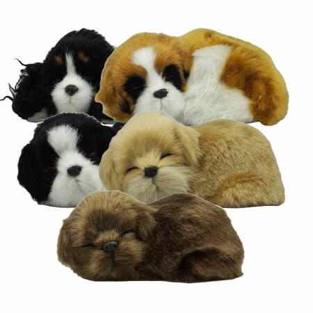gosedjur sovande hundvalpar i färgerna svart-vit, brun-vit, brun och golden.