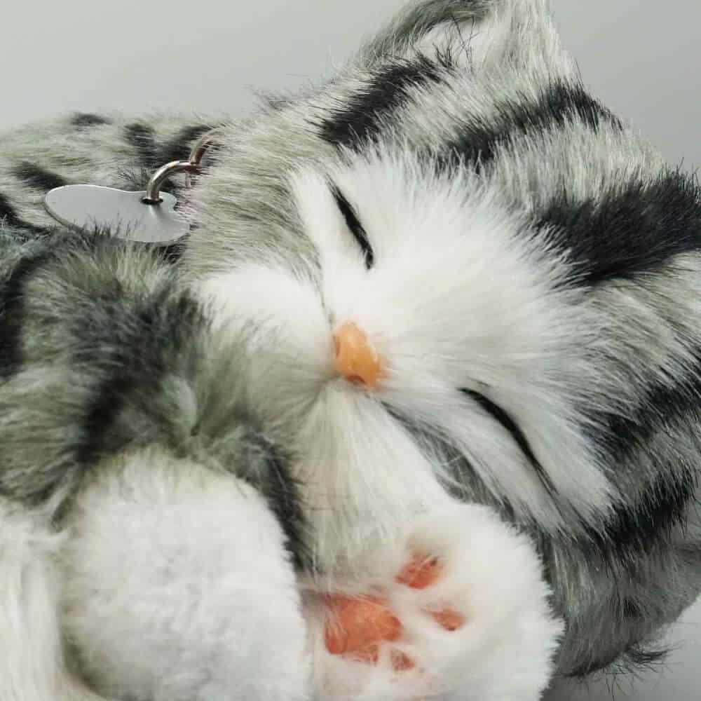 ansikte av sovande katt gosedjur med grå tabby mönster