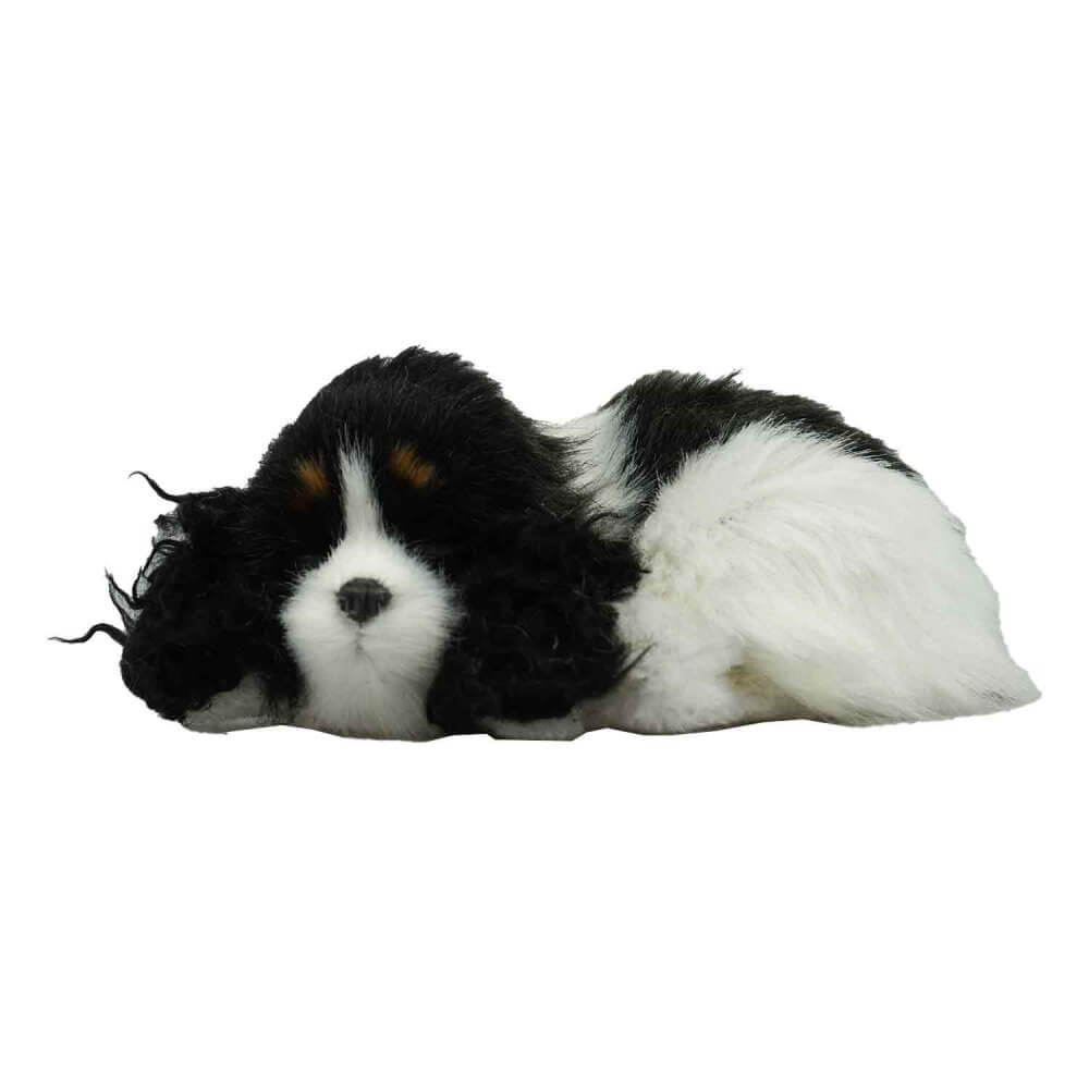 gosedjur sovande hundvalp svart vit spaniel