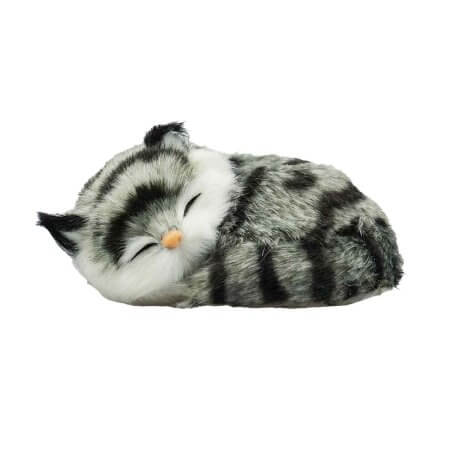 gosedjur sovande kattunge i färg grå tabby