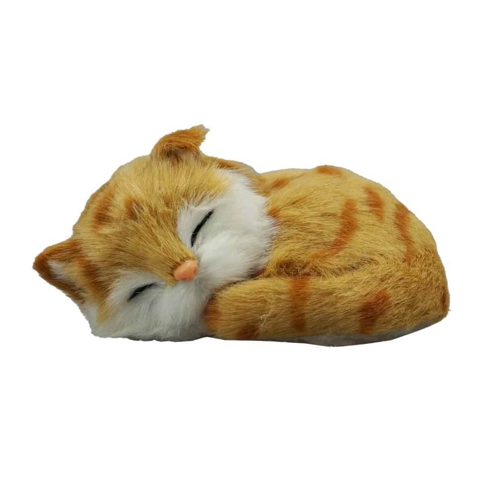 gosedjur sovande kattunge i färg orange tabby