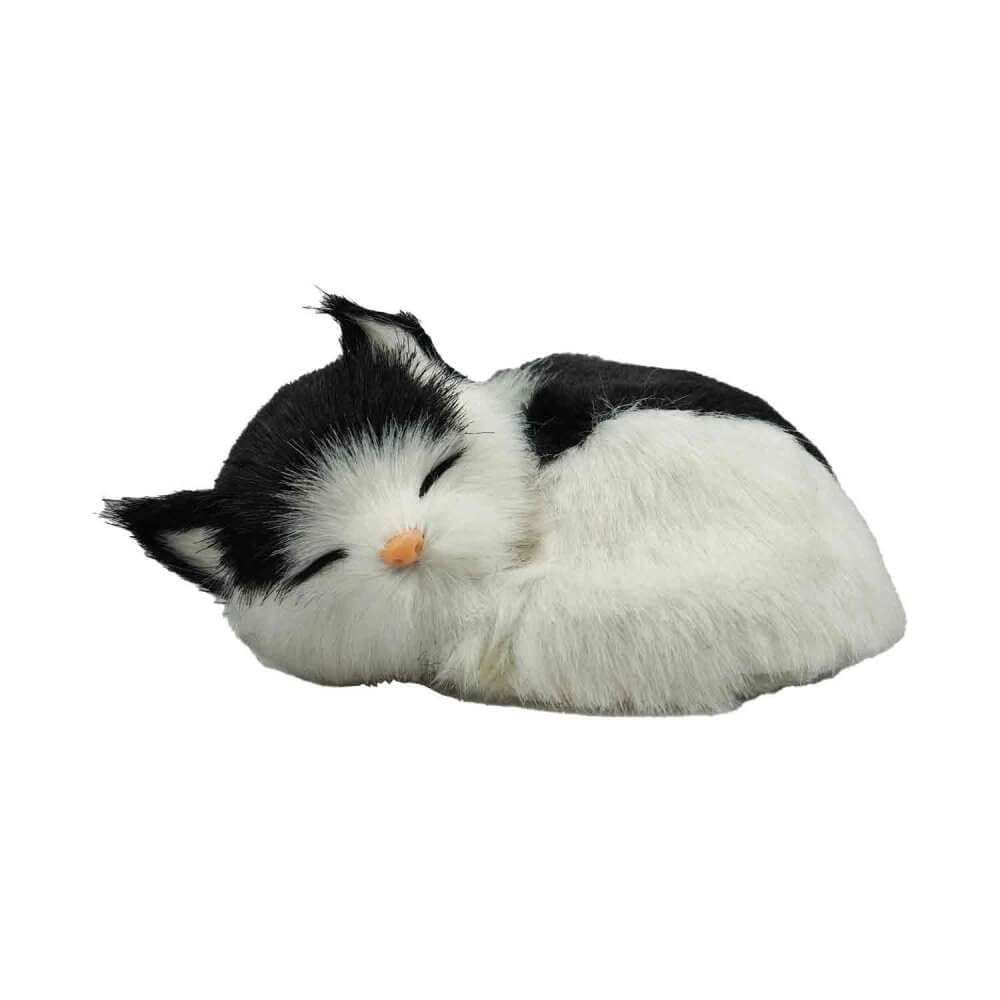 gosedjur sovande kattunge i färg svart vit