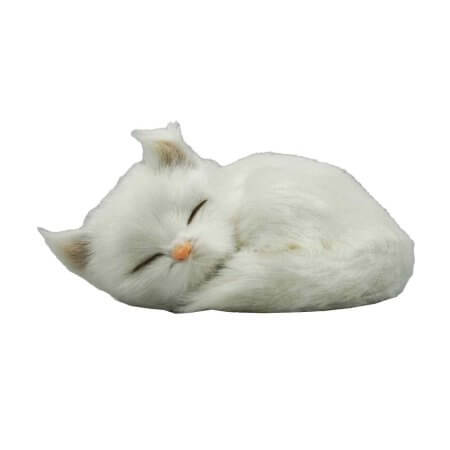 gosedjur sovande kattunge i färg vit