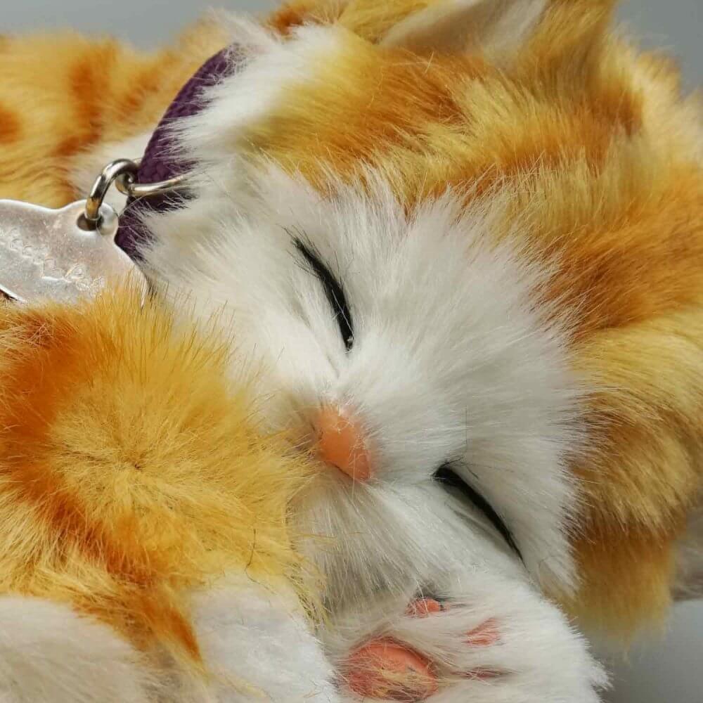 ansikte gosedjur sovande katt med orange tabby mönster