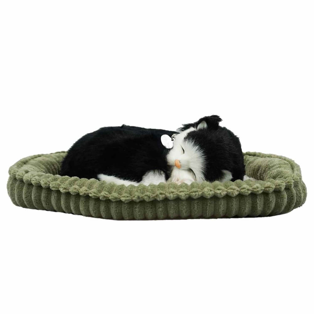 sovande gosedjurskatt med svart-vit färg på kattsäng från sidan