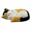gosedjur sovande katt med trefärgad Calico mönster