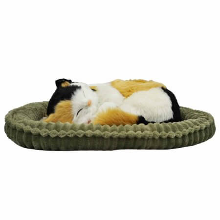 gosedjur sovande katt med trefärgad Calico mönster på säng