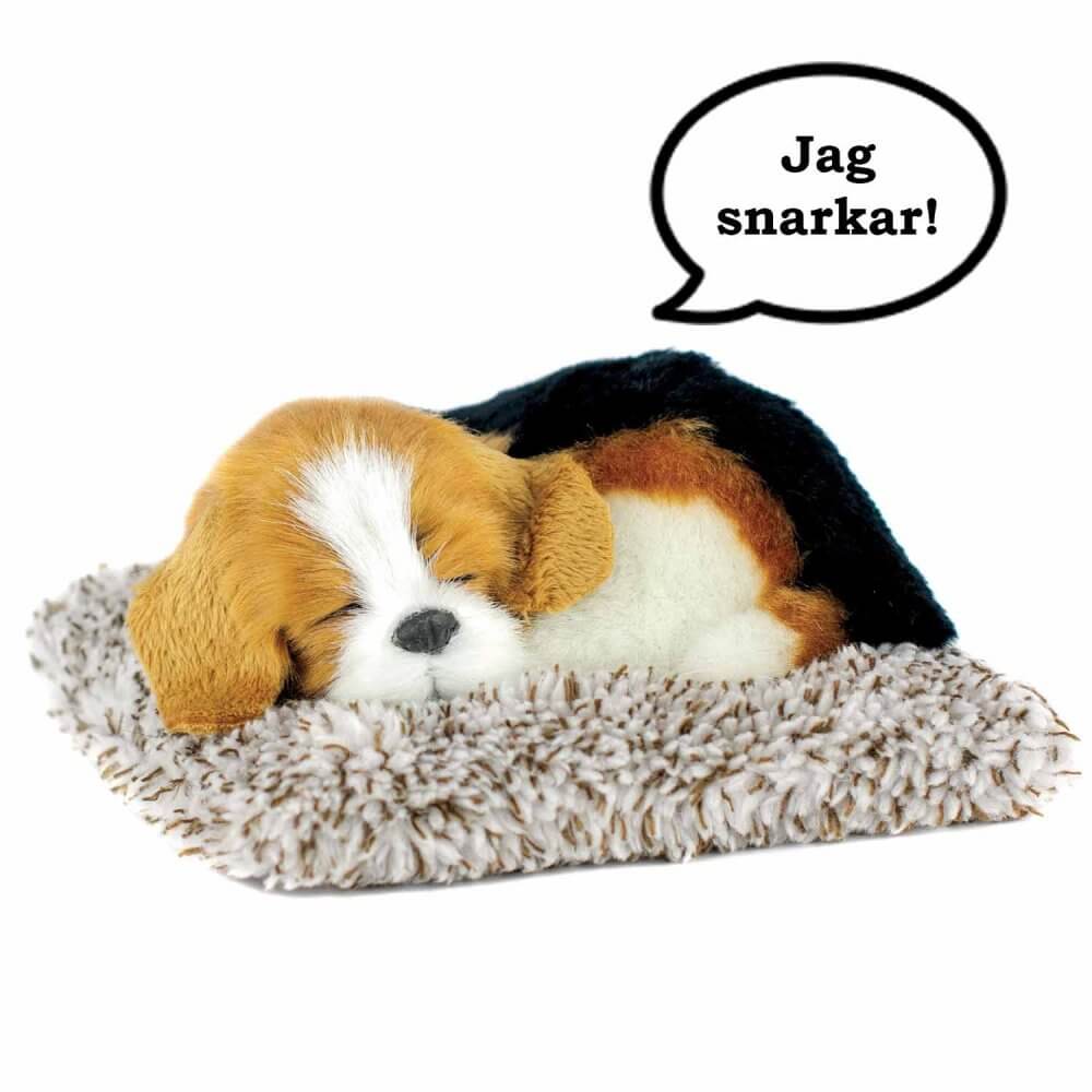 sovande gosedjurshund mini av rasen Beagle på hundsäng