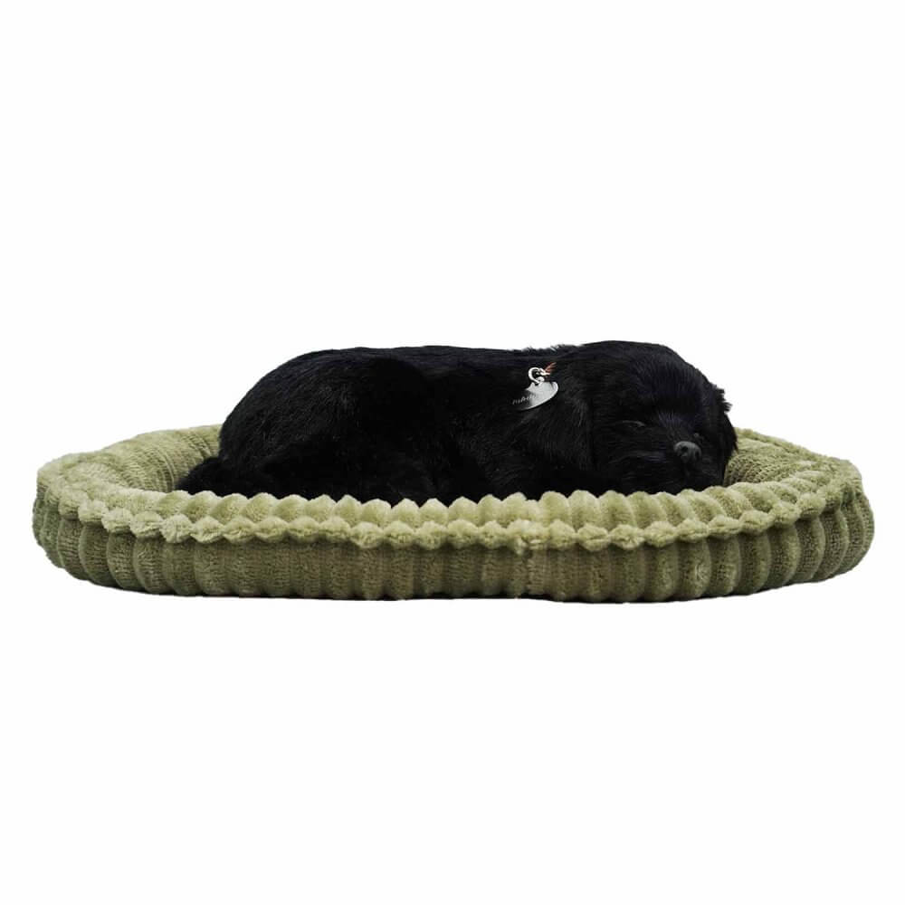 sovande gosedjurshund av rasen Labrador med svart päls på hundsäng från sidan