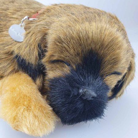 Perfect Petzzz Border Terrier hundvalp ansikte