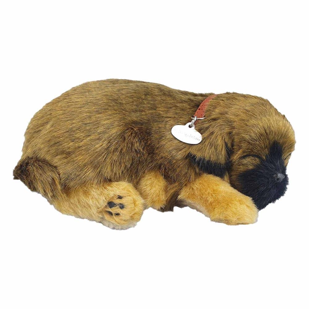 Perfect Petzzz Border Terrier hundvalp som andas