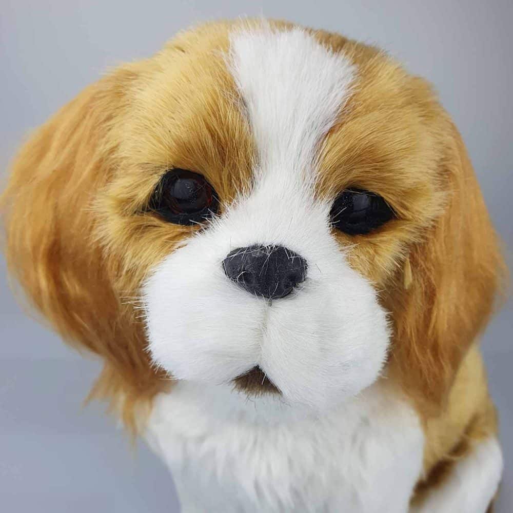 Perfect Petzzz Cavalier King Charles Spaniel 26 cm, ansikte