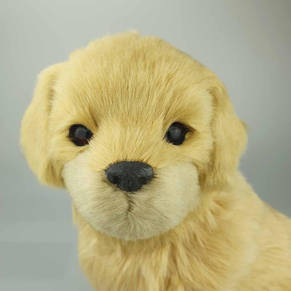 Perfect Petzzz Golden Retriever 26 cm, ansikte