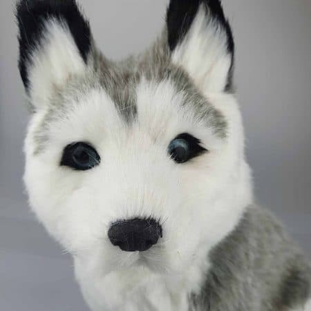 Perfect Petzzz Husky 26 cm, ansikte